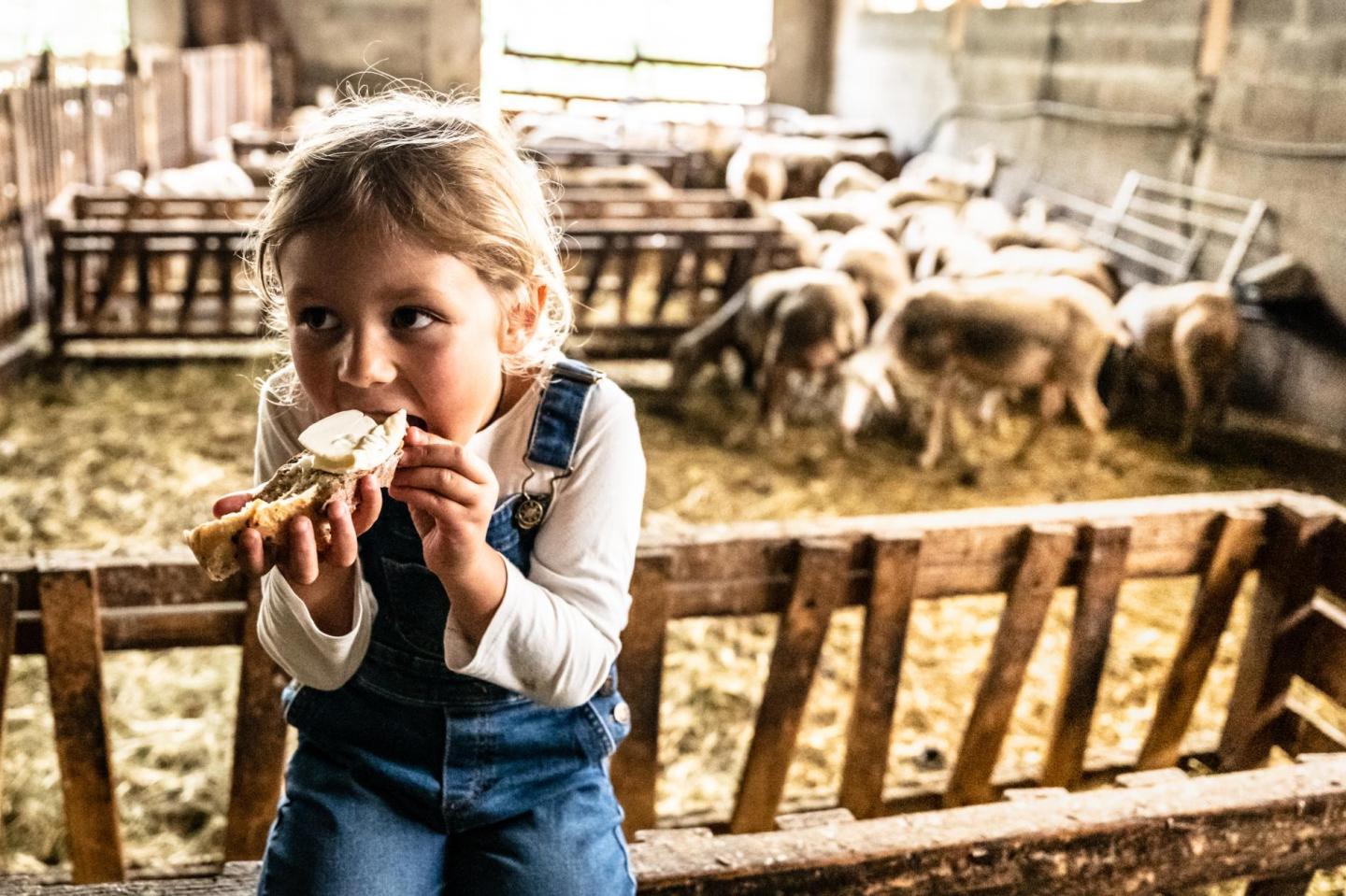 ENFANT BERGERIE FROMAGE - SERRE CHEVALIER BRIANCON - 1