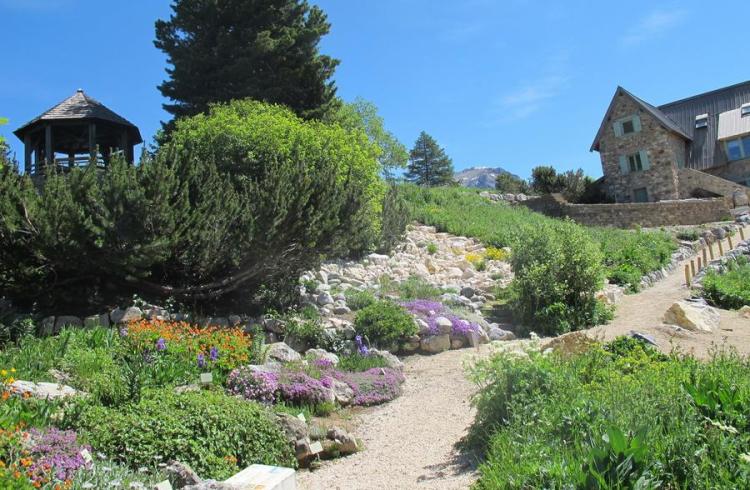 Massifs et rocailles