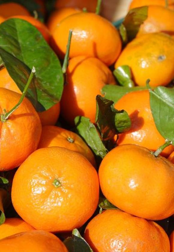 Marché couvert du 15/9_Briançon