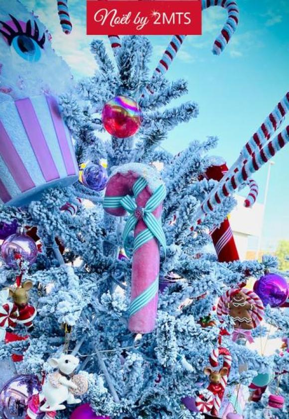 VILLAGE NOEL